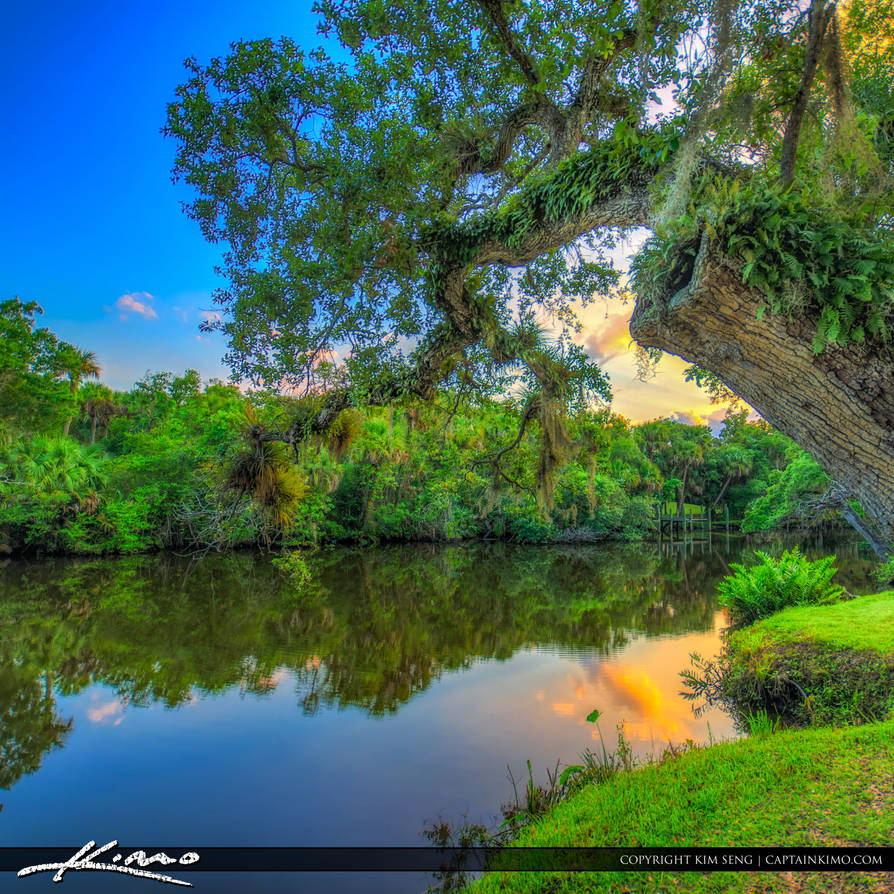 Port St. Lucie