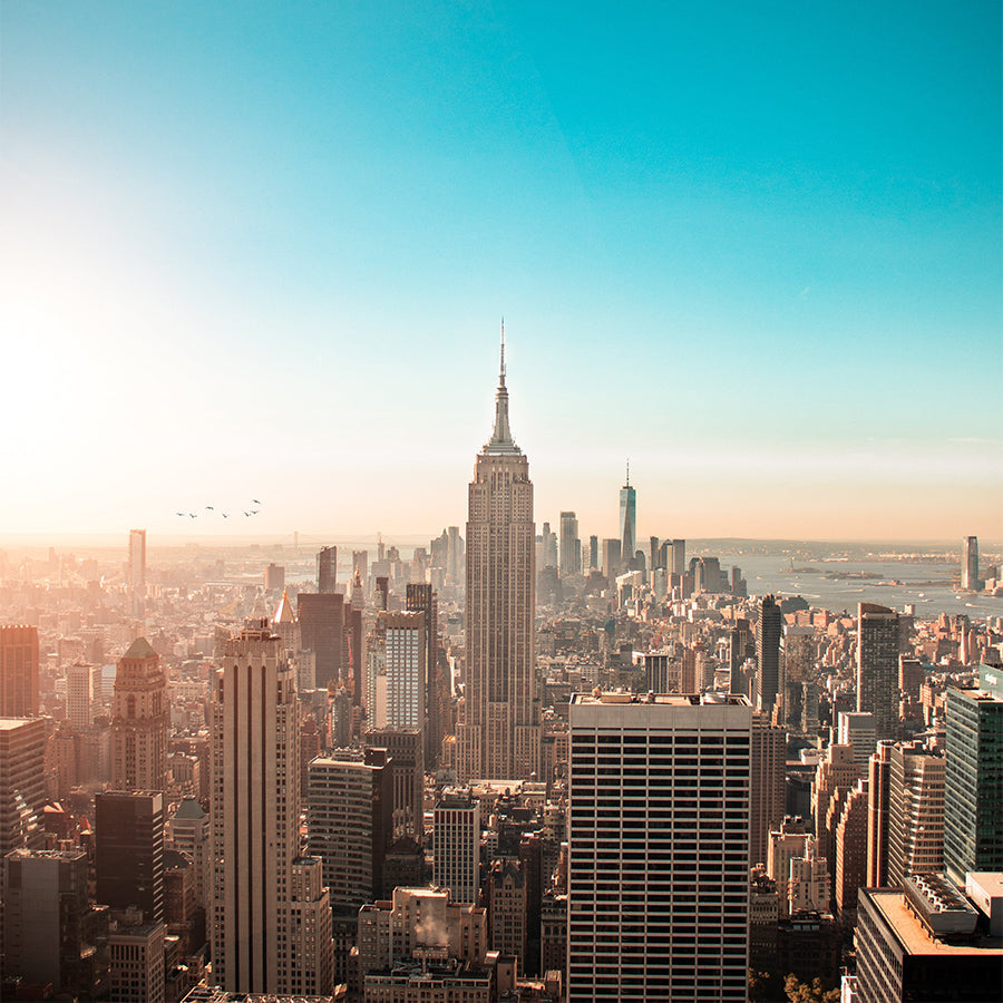 New York Monkey Bars