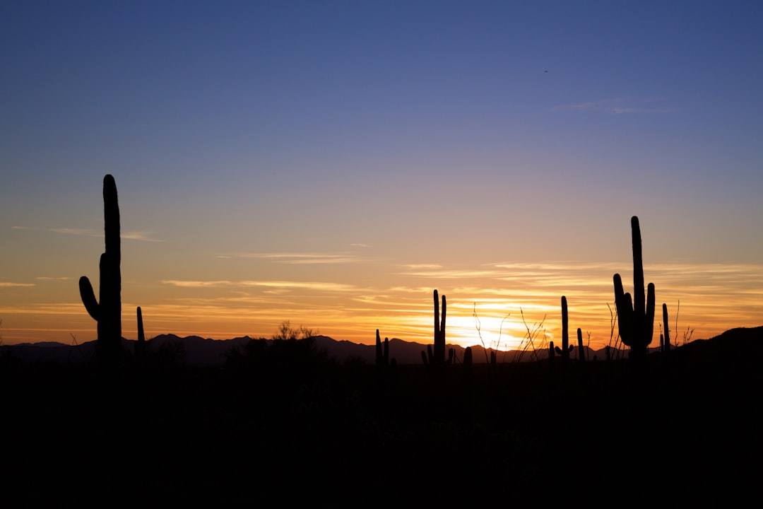 Buckeye, Arizona