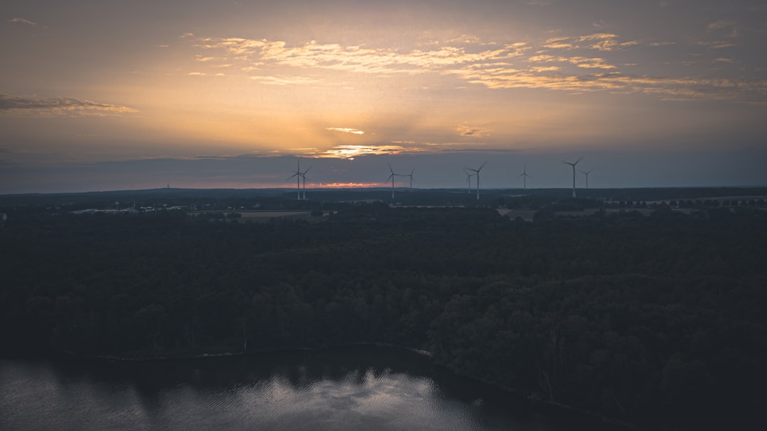 Tuscaloosa, AL