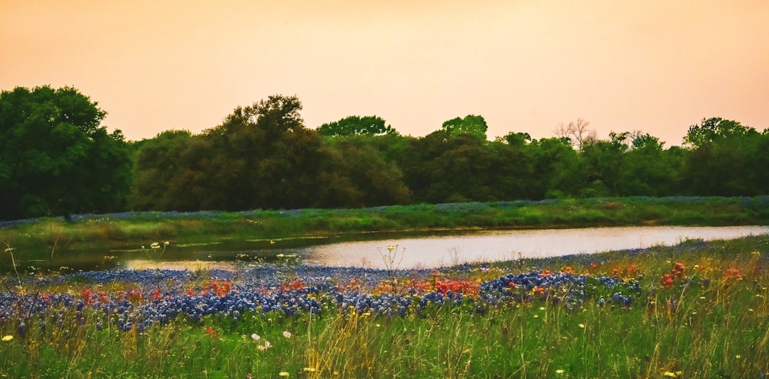 The Woodlands, Texas