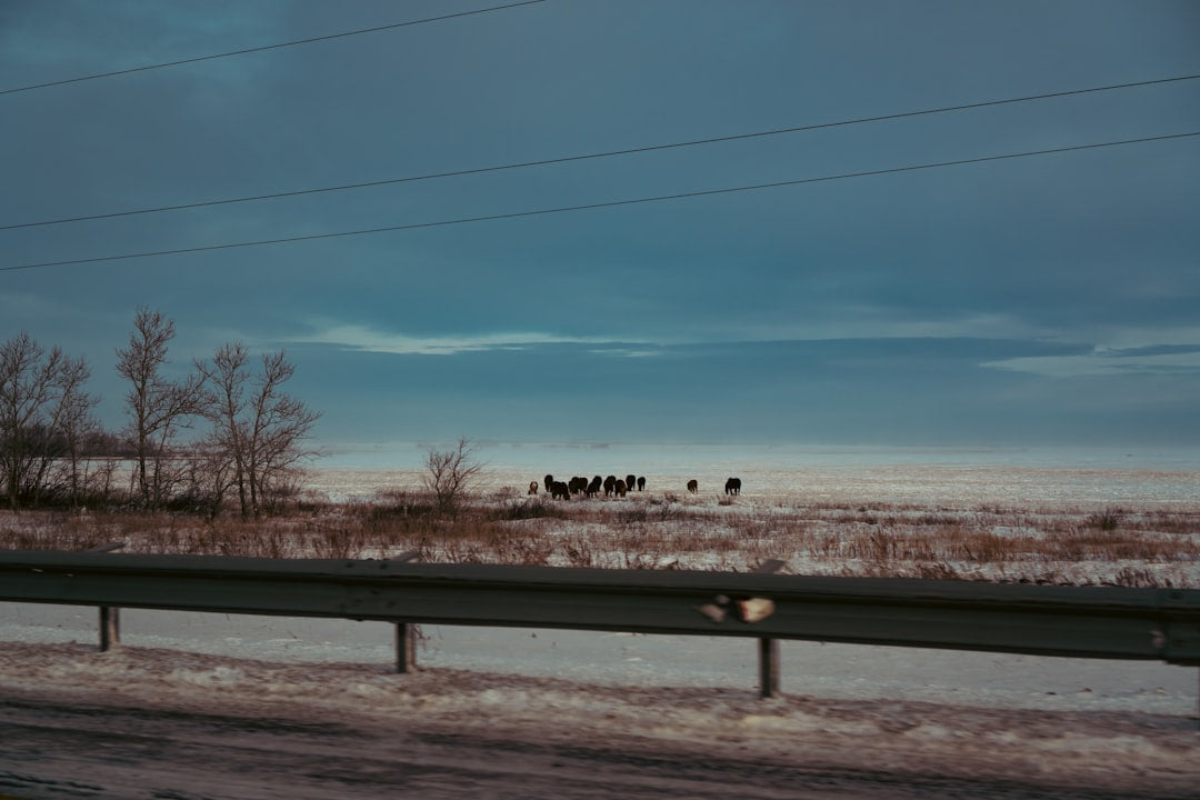 Fargo, ND
