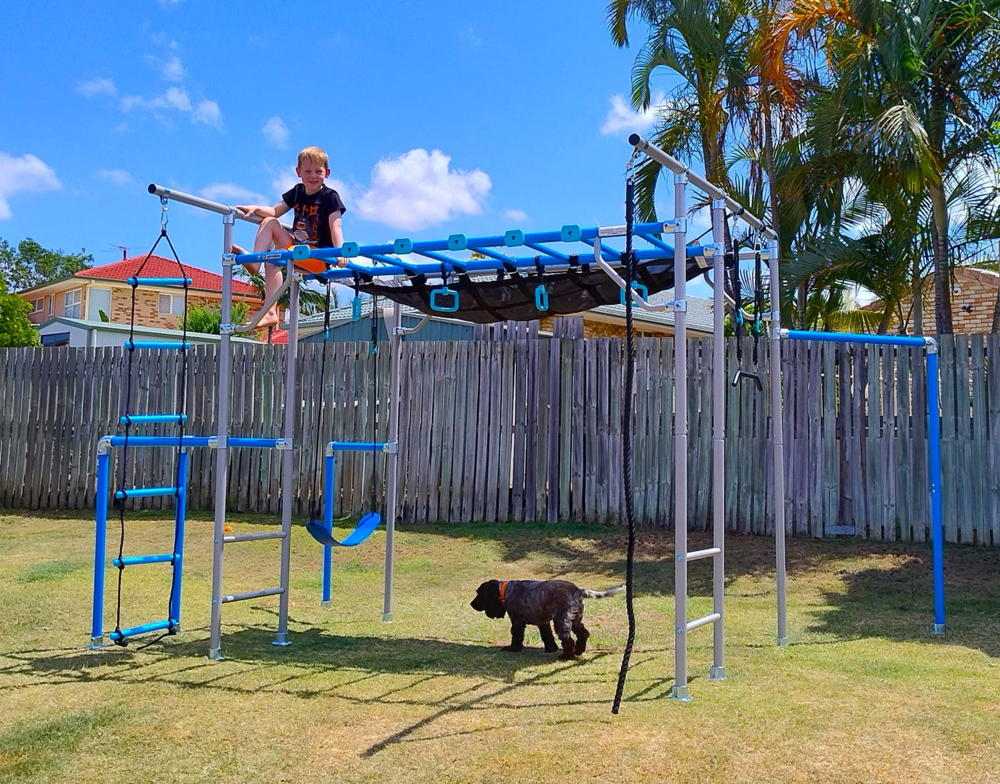 See The Large in Real Backyards